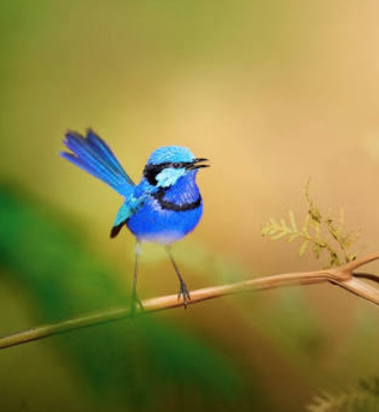 Sing Into Spring!